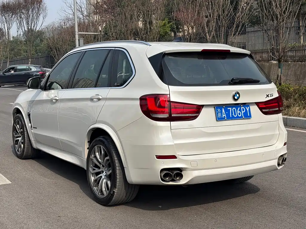 BMW X5 (Import) — миниатюра 5