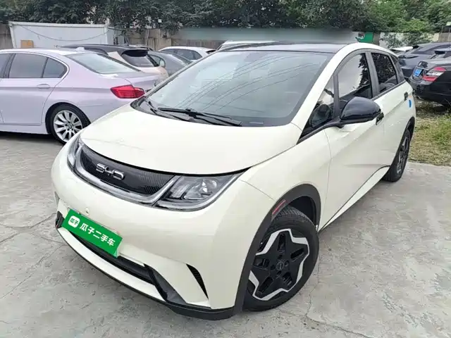 BYD Dolphin