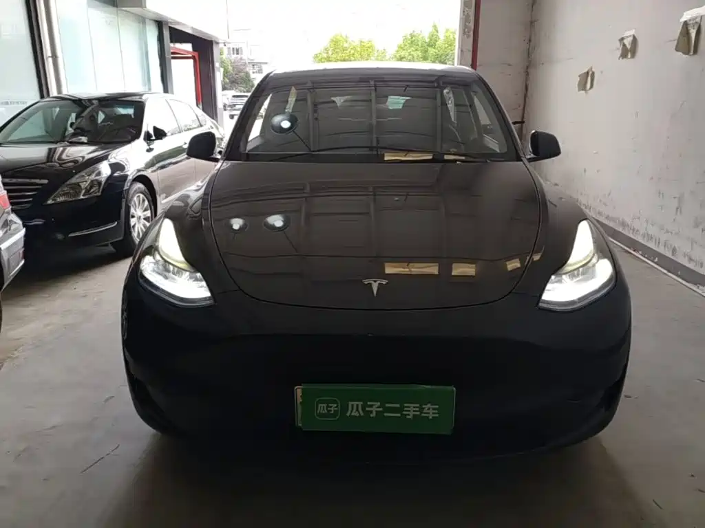 Tesla Model Y — миниатюра 3