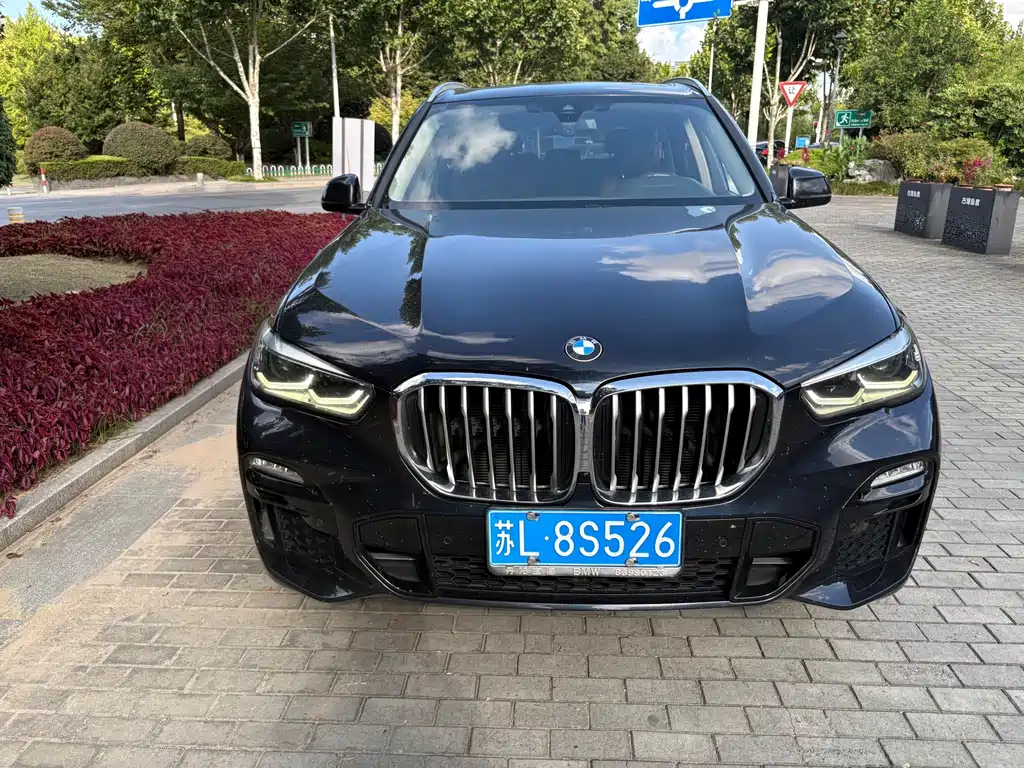 BMW X5 (Import) — миниатюра 2