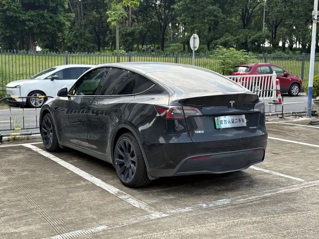 Tesla Model Y — миниатюра 13