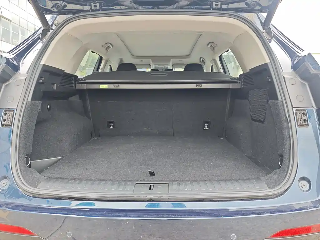 WEI PAI WEI BRAND LATTE DHT PHEV