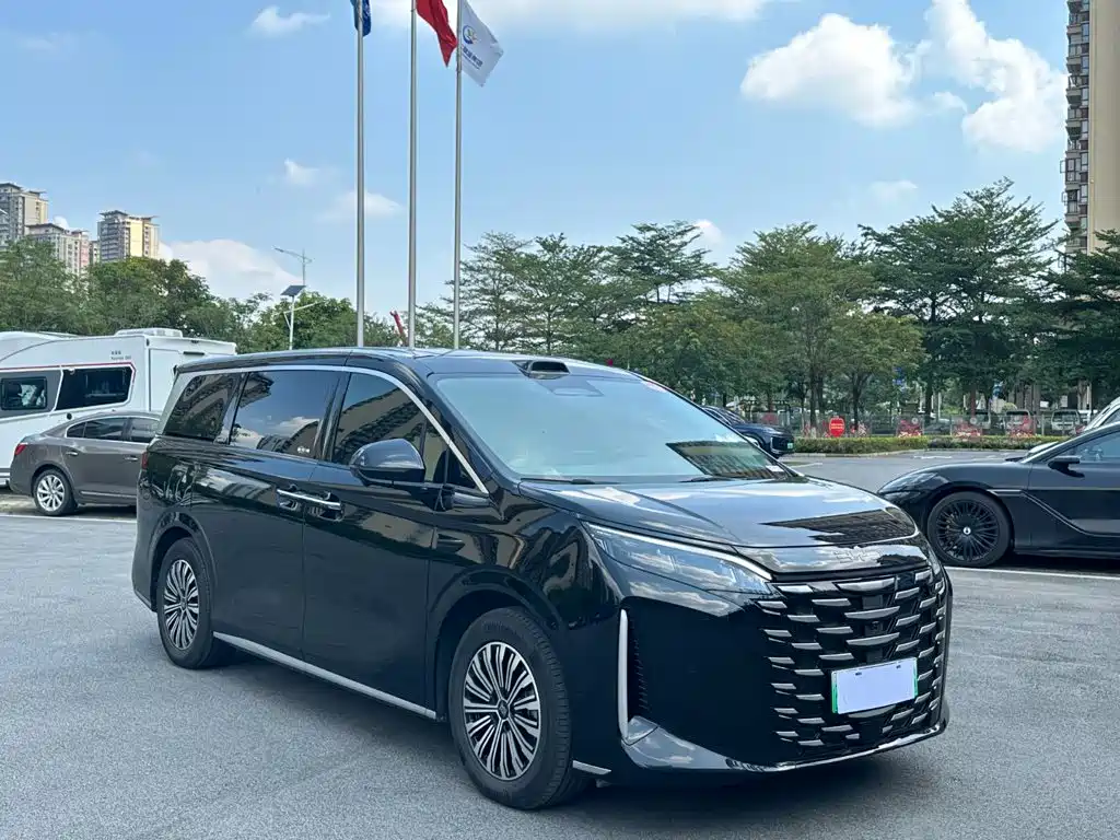 BYD Xia — миниатюра 3