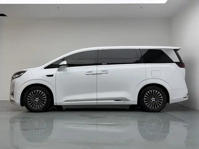 Denza Denza D9 — миниатюра 7