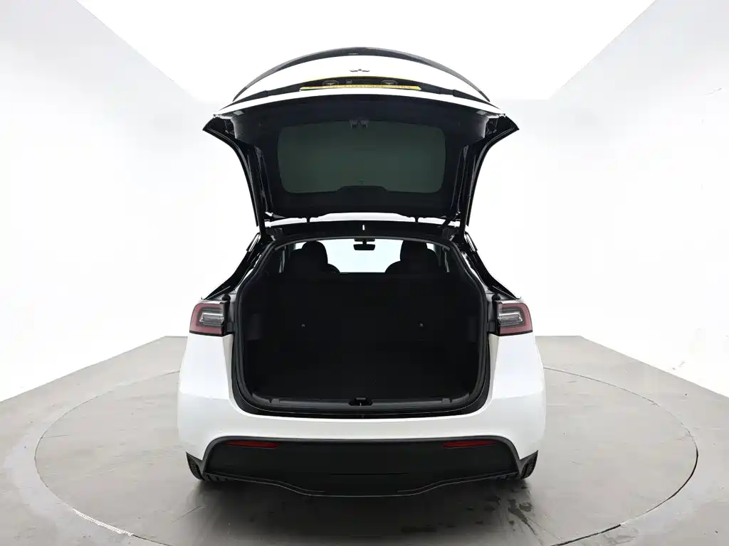 Tesla Model Y — миниатюра 8