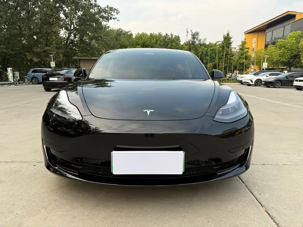 Tesla Model 3 — миниатюра 2