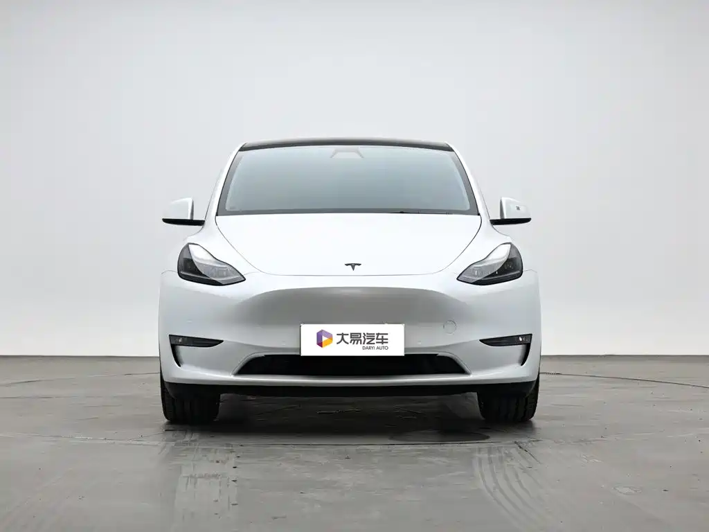 Tesla Model Y — миниатюра 2