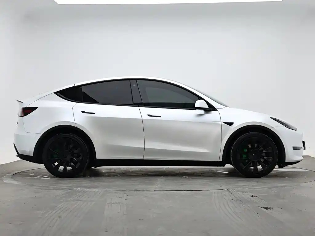 Tesla Model Y — миниатюра 5