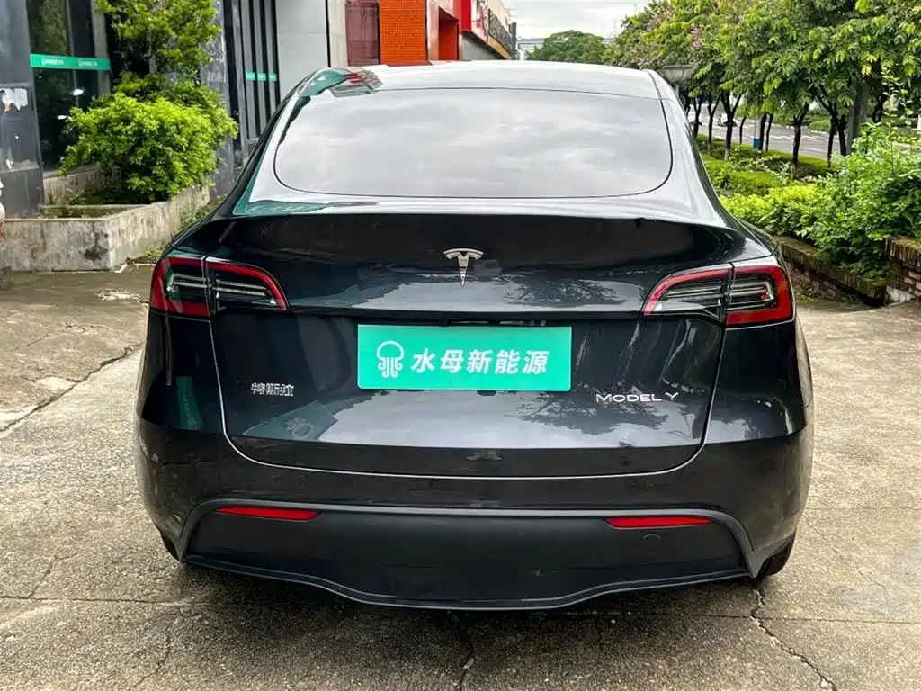 Tesla Model Y — миниатюра 7