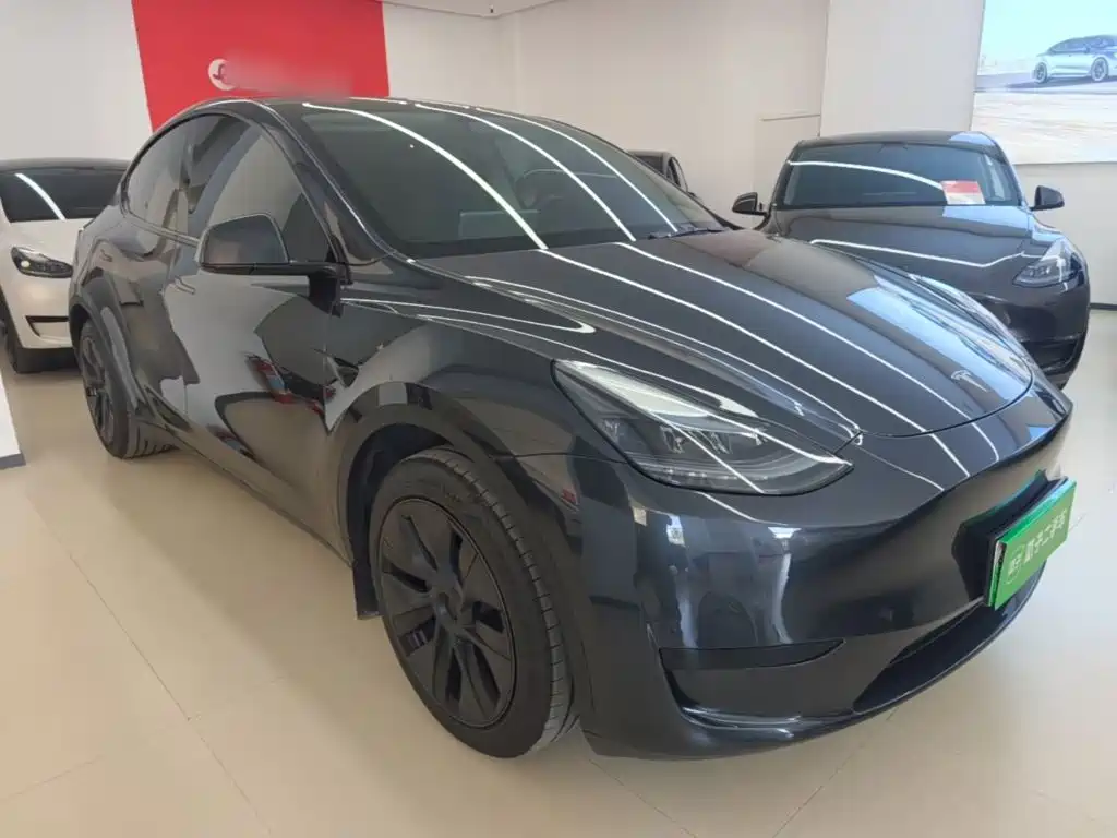 Tesla Model Y — миниатюра 4