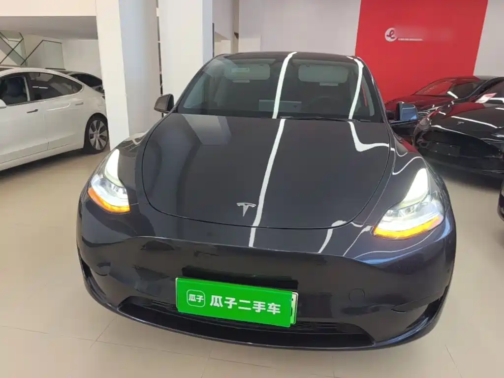 Tesla Model Y — миниатюра 3