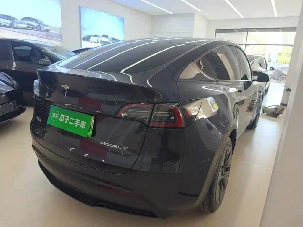 Tesla Model Y — миниатюра 7