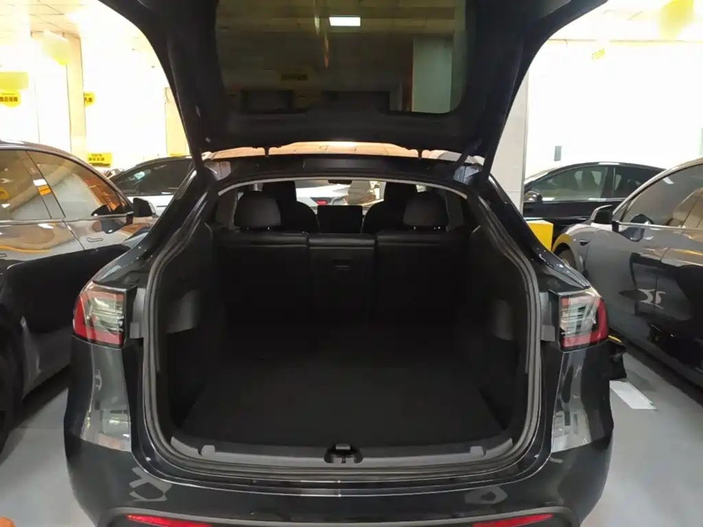 Tesla Model Y — миниатюра 19