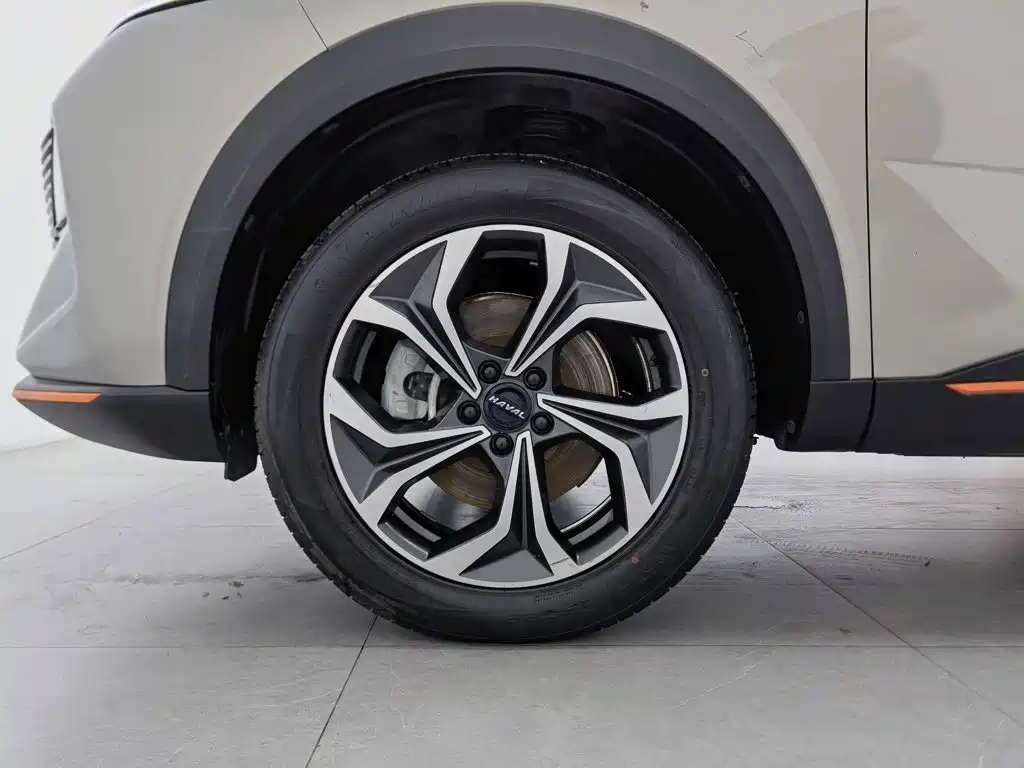 Haval Shenshou — миниатюра 17