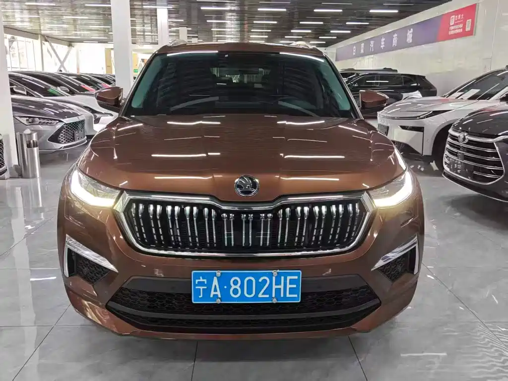 Skoda Kodiaq — миниатюра 2