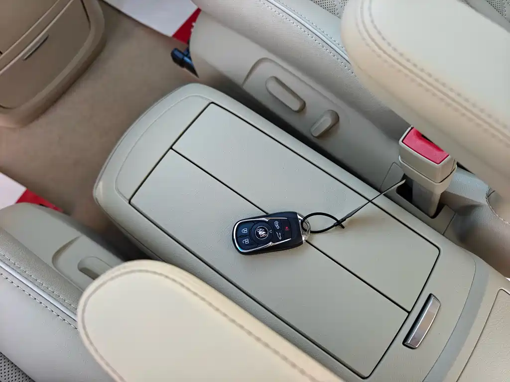Buick GL8 — миниатюра 14