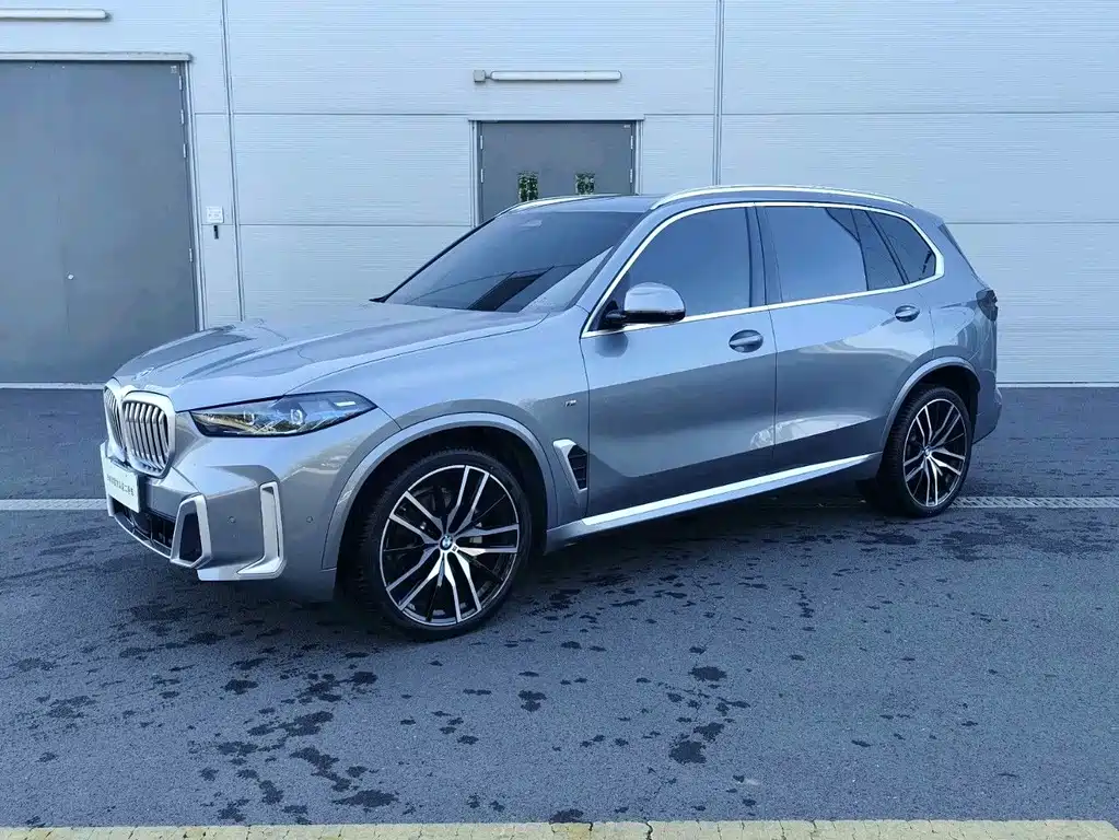 BMW X5 — миниатюра 11