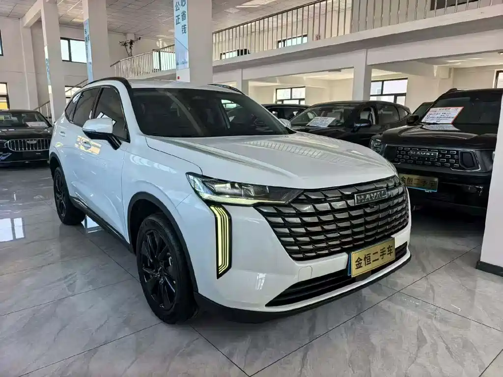 Haval H6 — миниатюра 2
