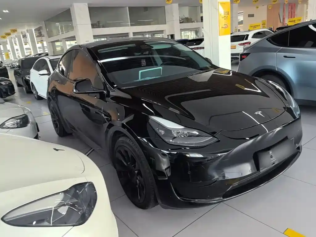 Tesla Model Y — миниатюра 4