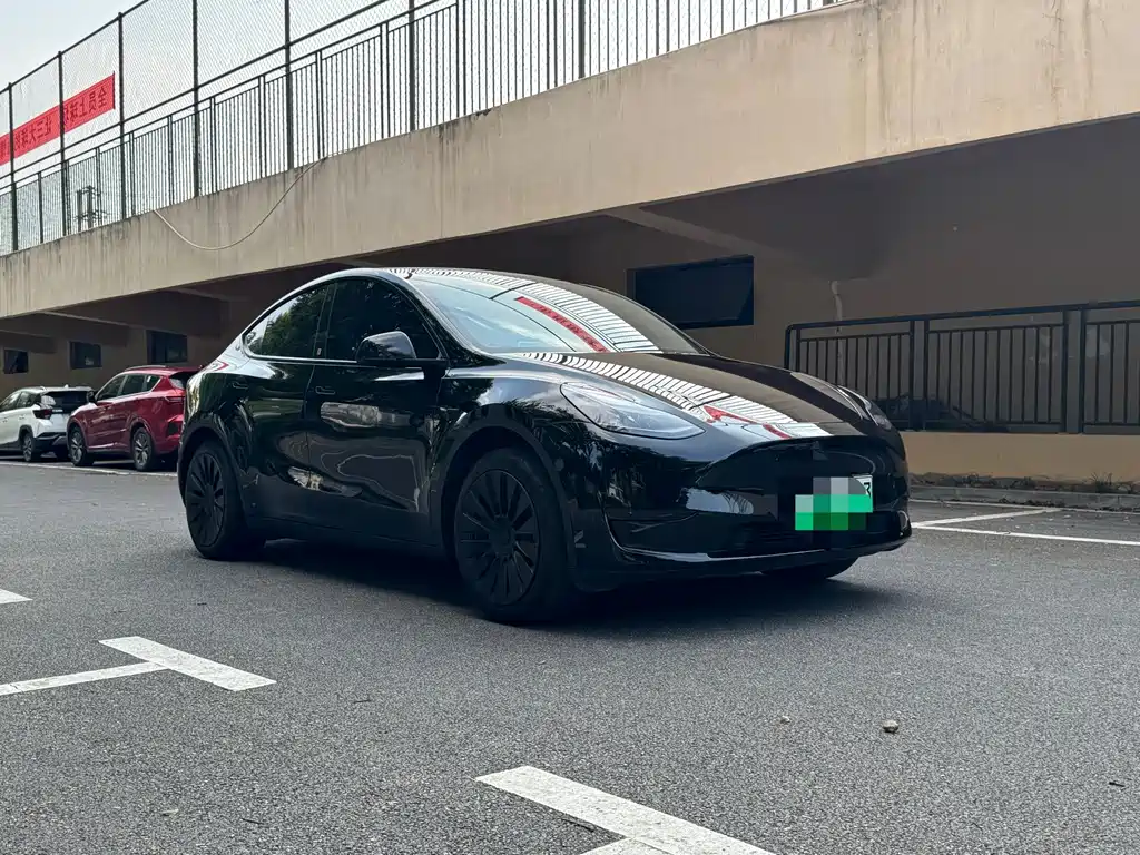 Tesla Model Y — миниатюра 3