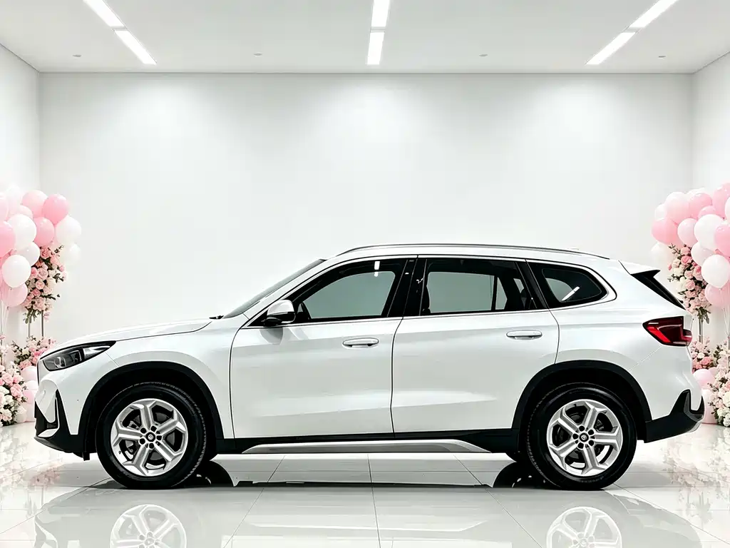 BMW X1 — миниатюра 3