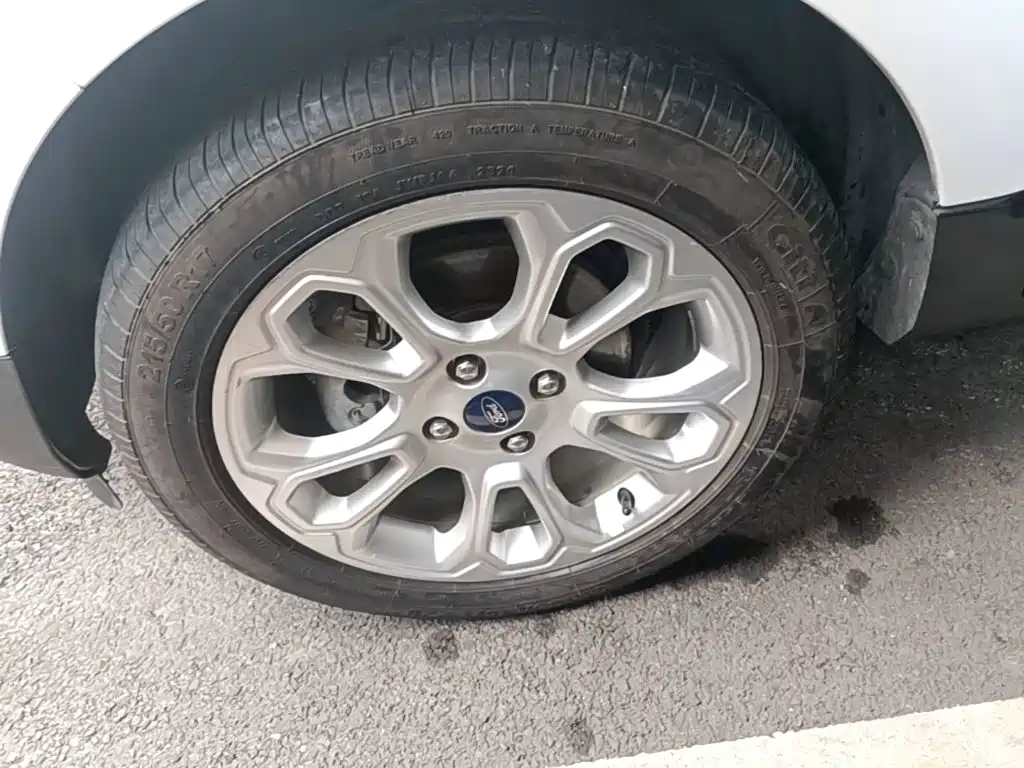 Ford Ecosport — миниатюра 23