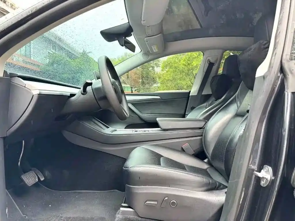 Tesla Model Y — миниатюра 5