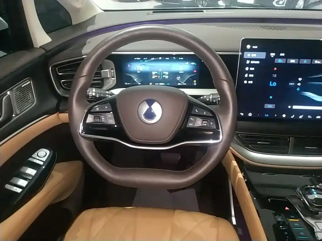 Denza Denza D9 — миниатюра 11