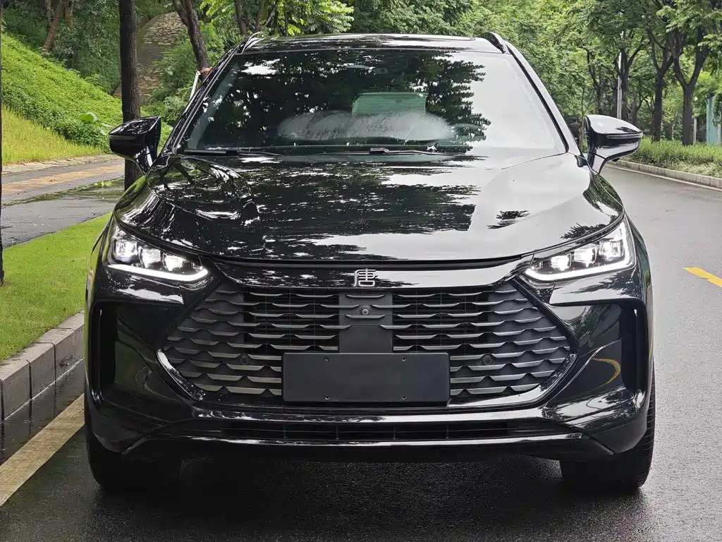 BYD Tang New Energy — миниатюра 2