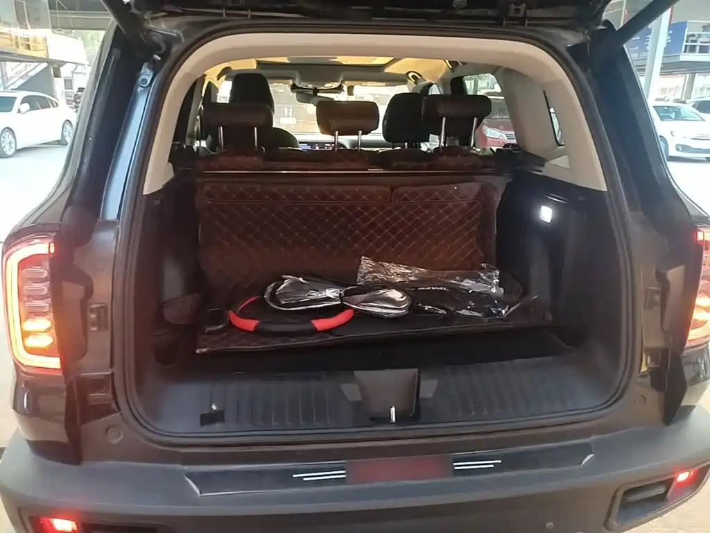 Haval Big Dog — миниатюра 19