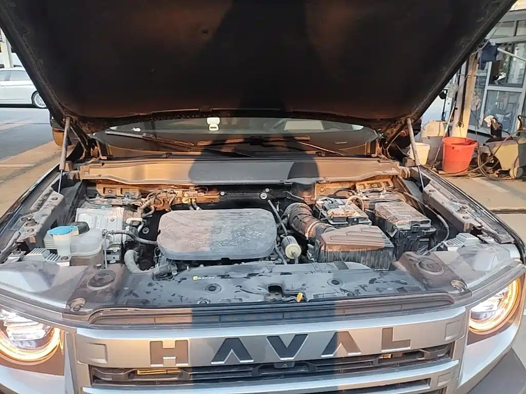 Haval Big Dog — миниатюра 20