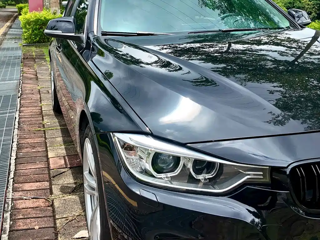 BMW 3 Series (Import) 320i Sport Design Package Touring Edition, фото 37