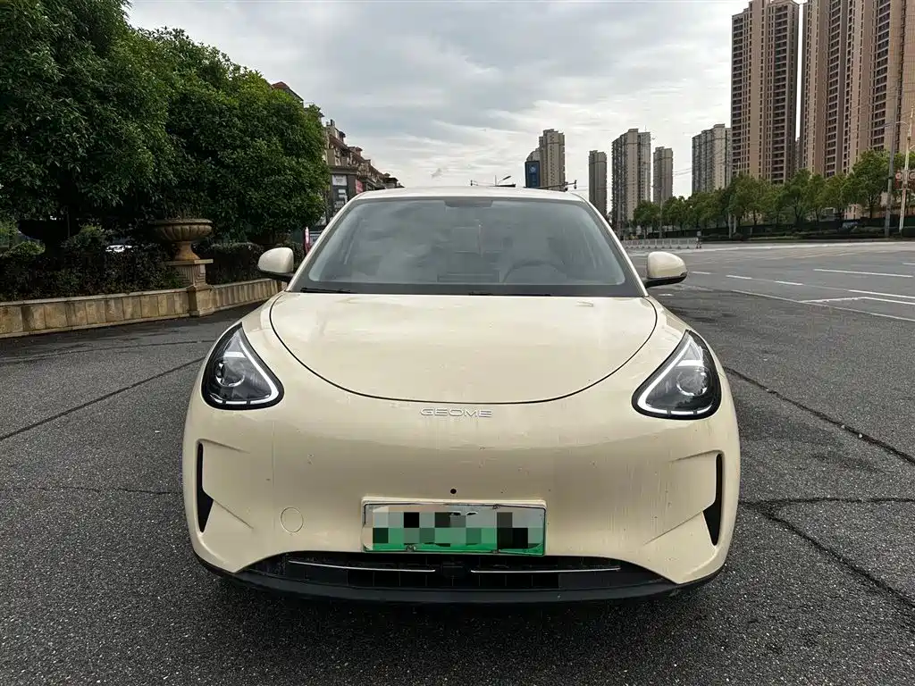 Geely Geome Xingyuan 2025 310km