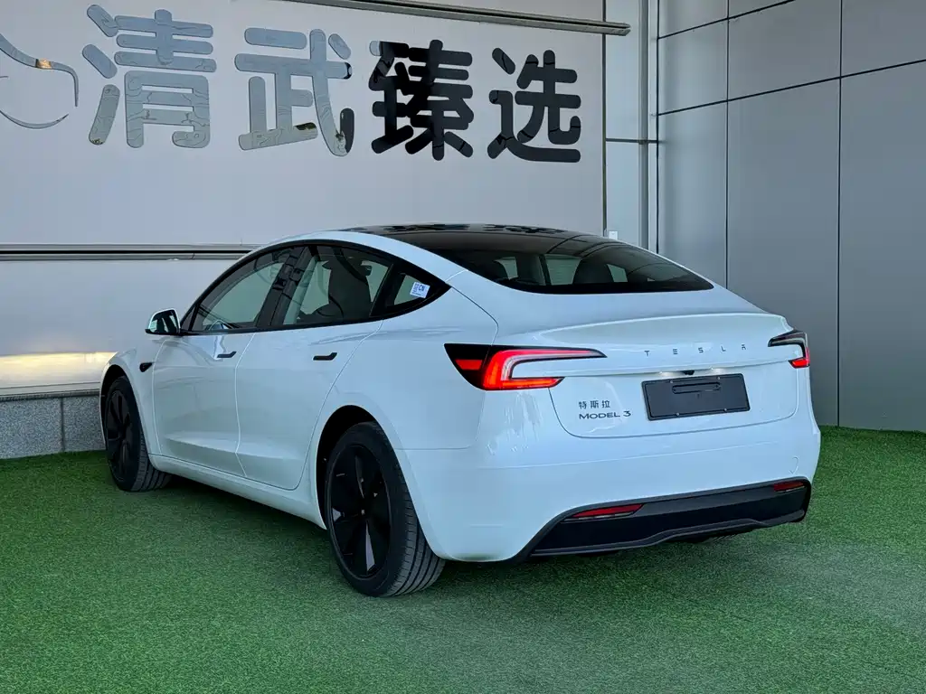 Tesla Model 3 — миниатюра 14