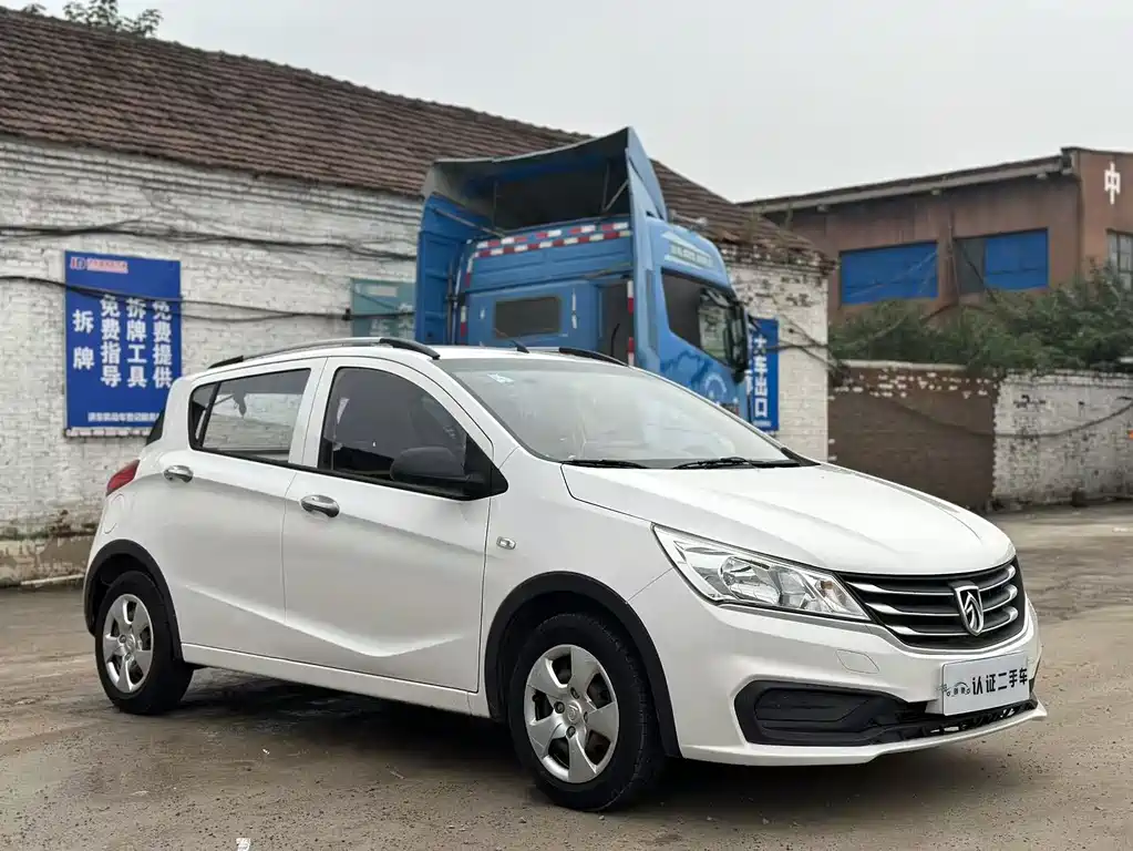 BAOJUN 310