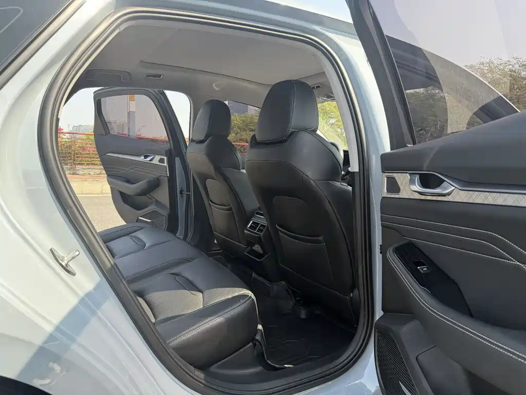 Geely Xingrui 2.0TD Luxury Type, фото 7
