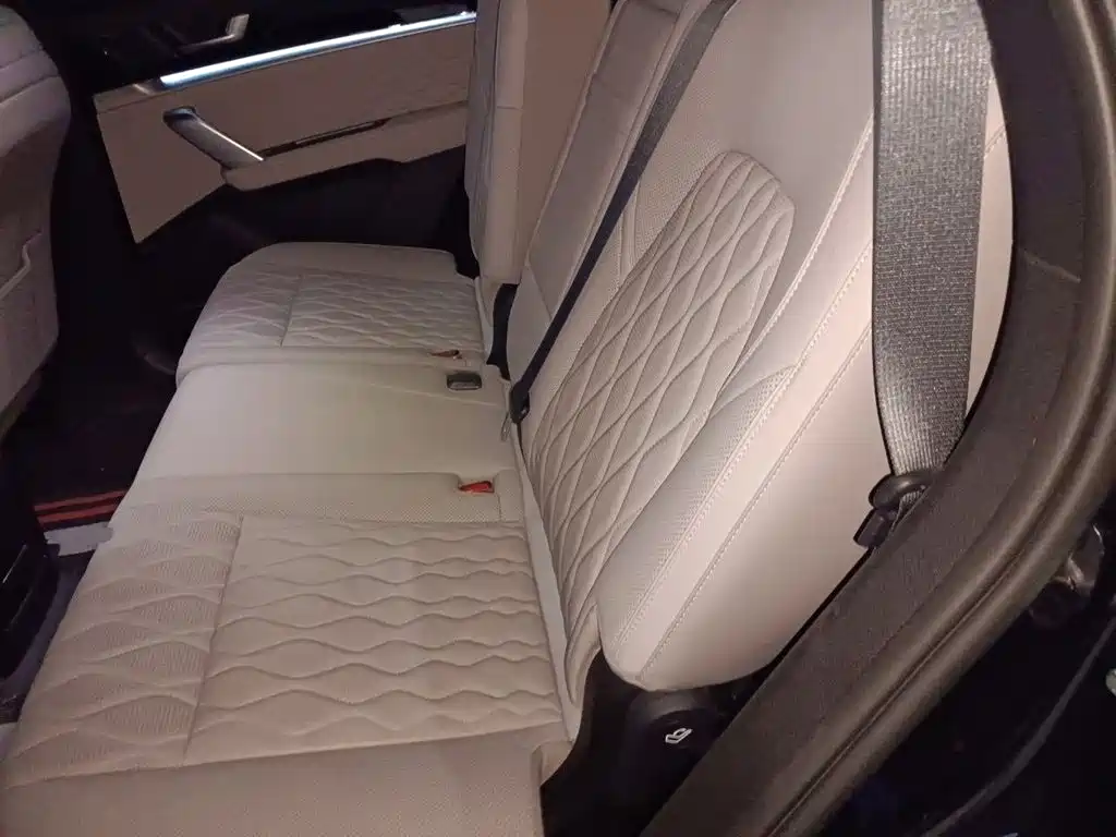BYD Tang New Energy — миниатюра 18