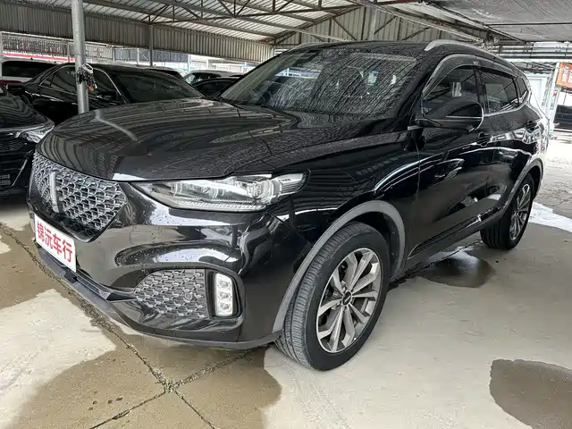 2020 Wey VV6