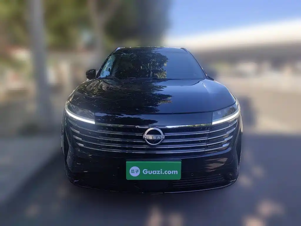 Nissan Teramont — миниатюра 23