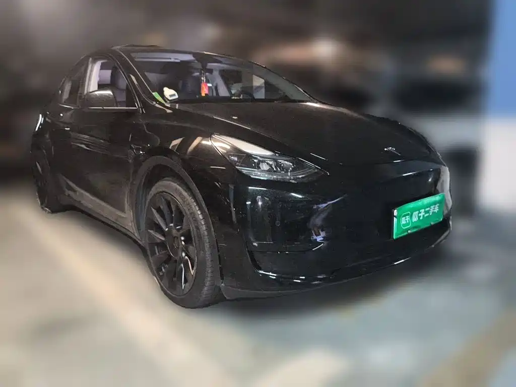 Tesla Model Y — миниатюра 25