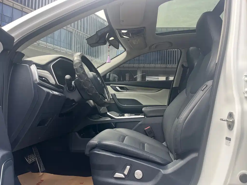 WM Motor EX5 — миниатюра 8