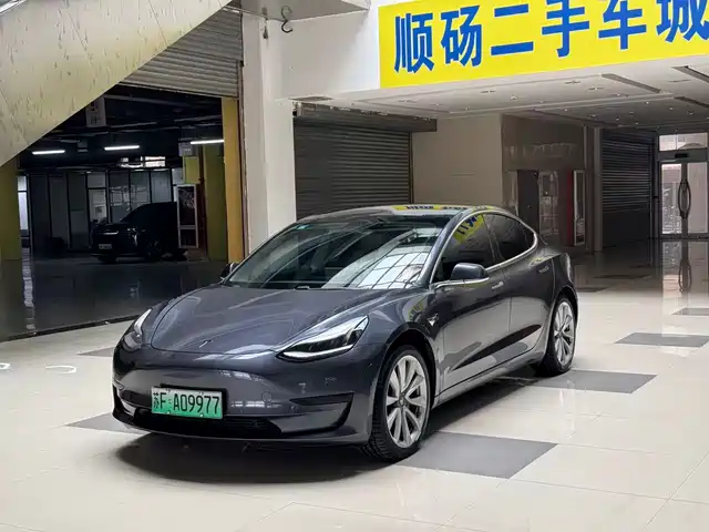 TESLA MODEL 3 2020