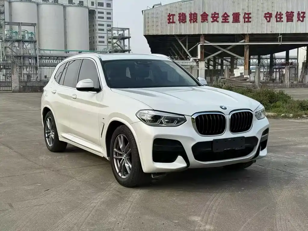BMW X3 — миниатюра 3