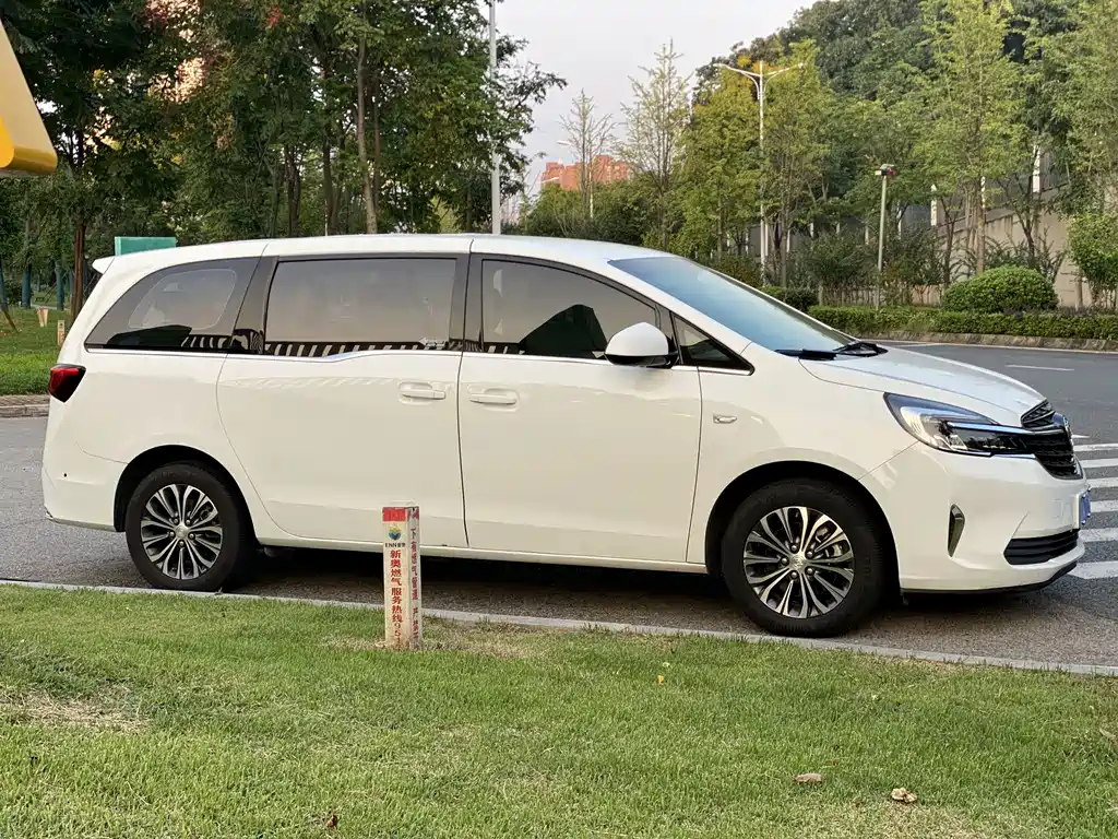 Buick GL8 — миниатюра 8