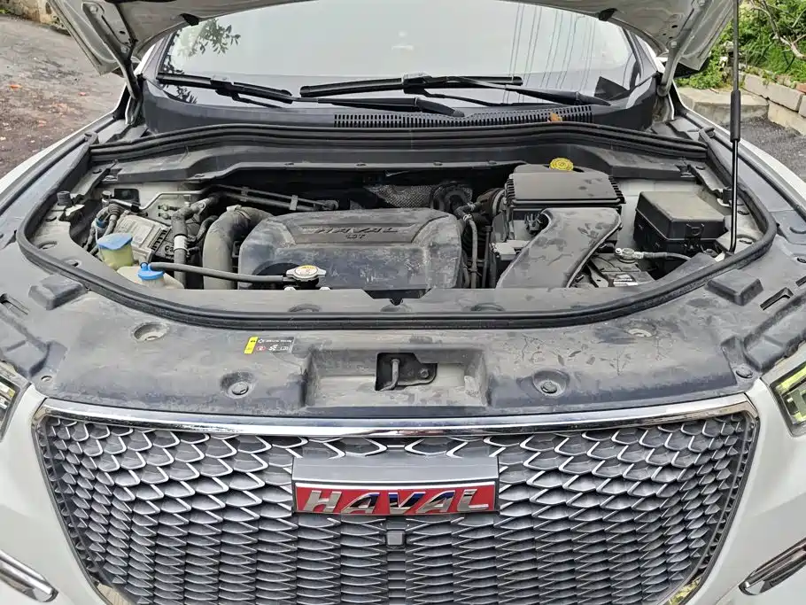 Haval H2s — миниатюра 10