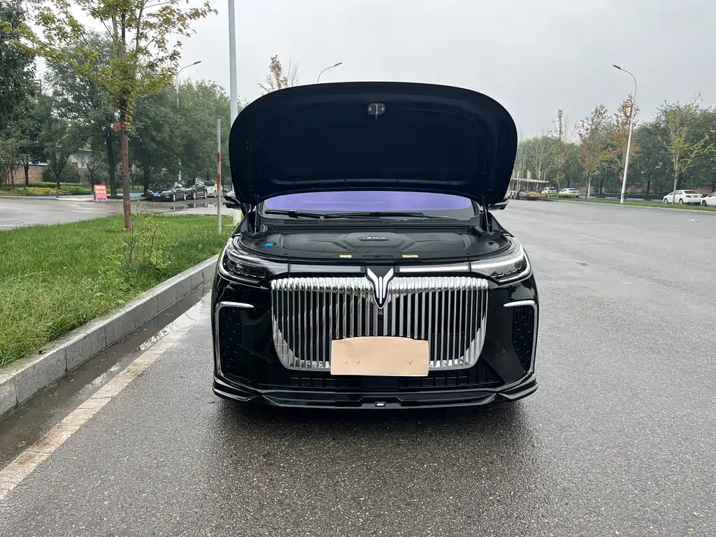 VOYAH Dreamer — миниатюра 17