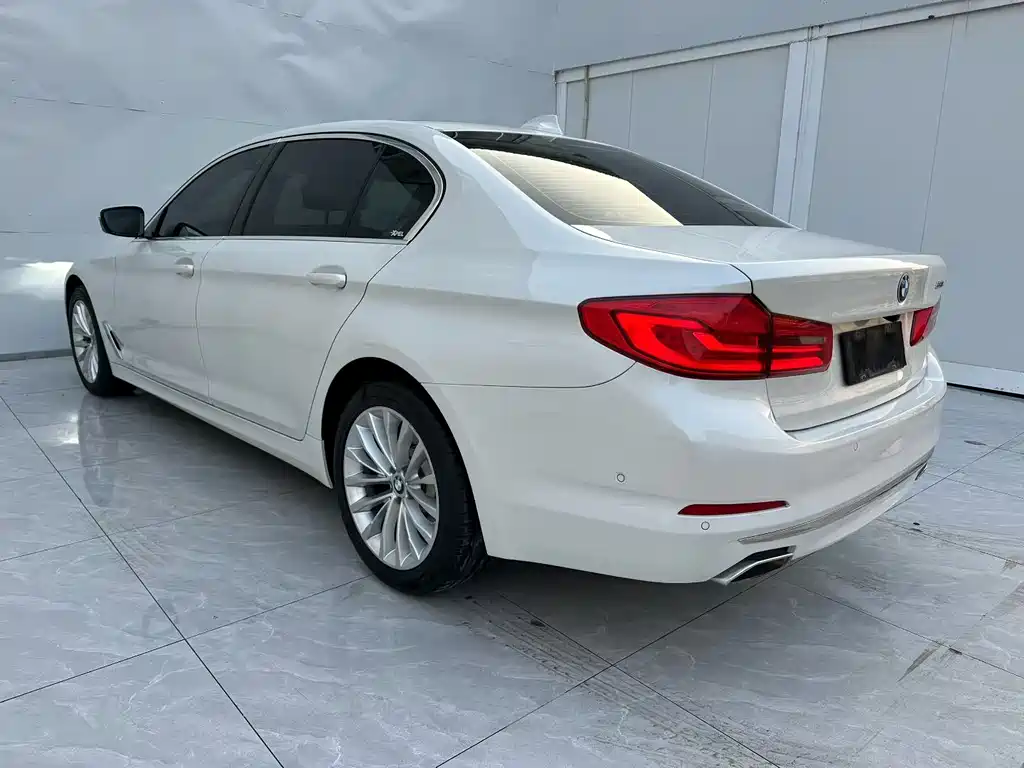 BMW 5 Series 5 2020 530Li Premium Luxury