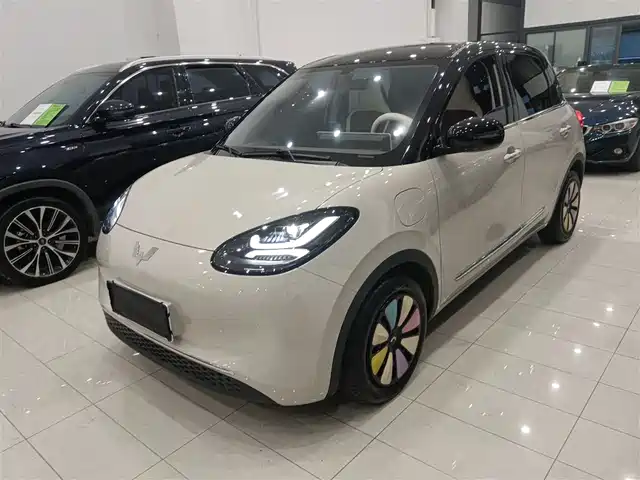 WULING AUTOMOBILE WULING BINGGUO 2024