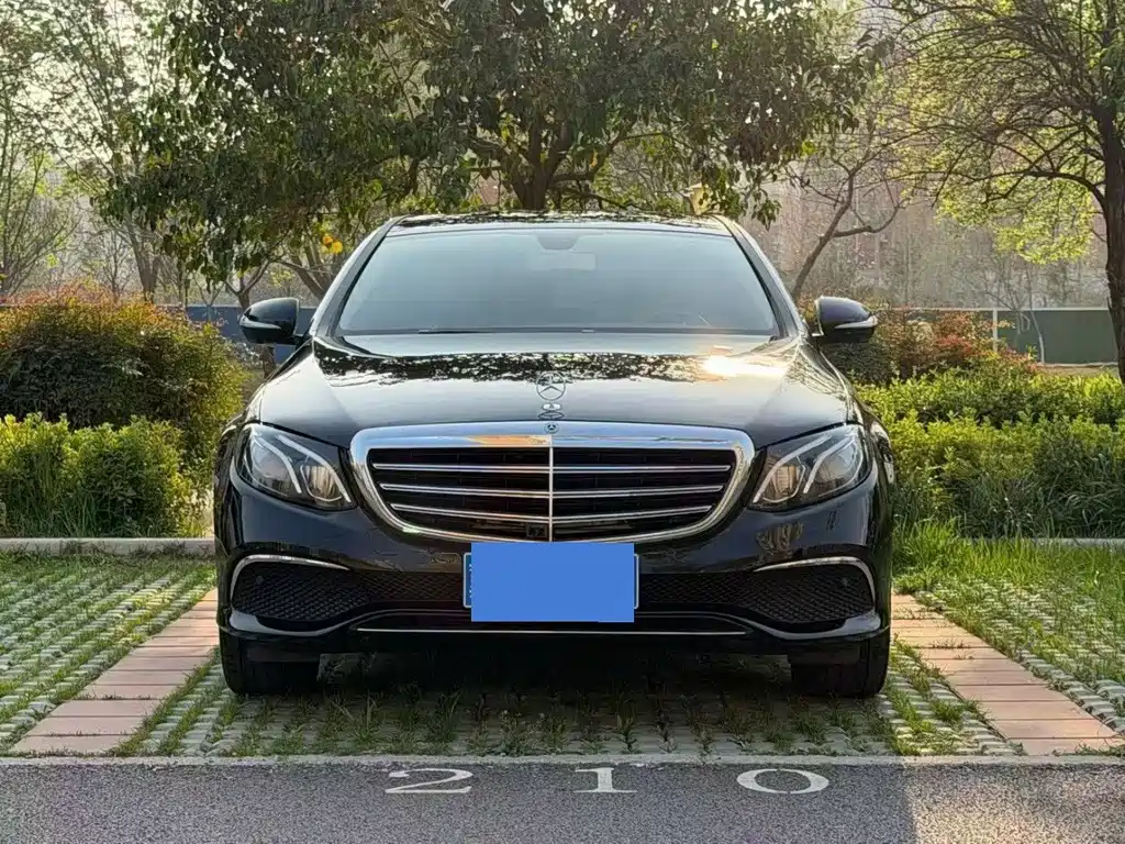 Mercedes-Benz E-Class E 300 L Luxury Type, фото 2