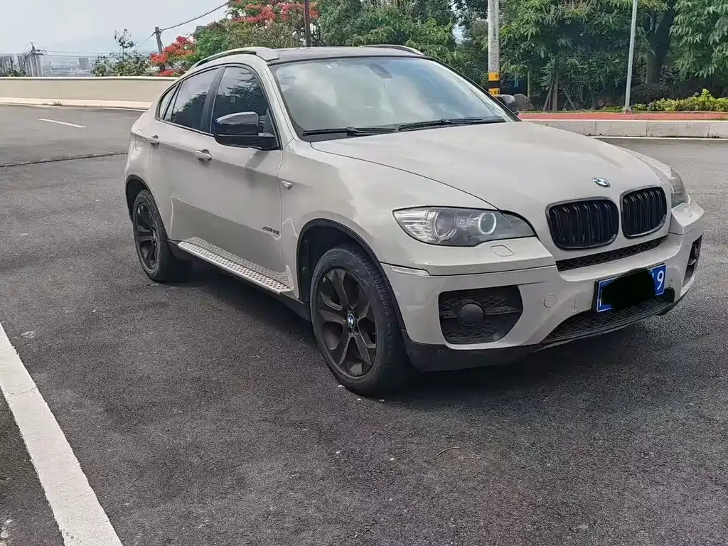 BMW X6 2011 xDrive35i